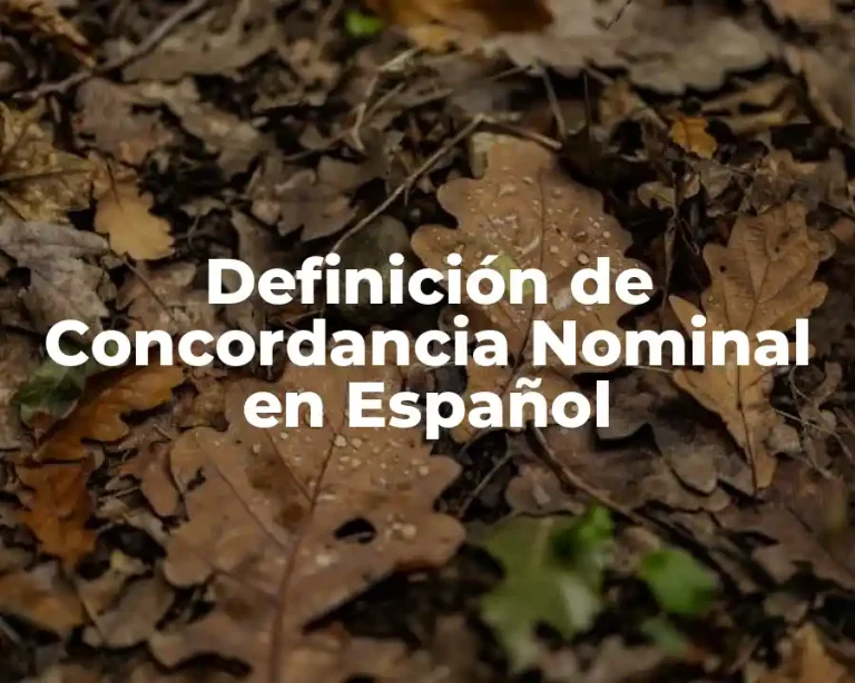 Definición de Concordancia Nominal en Español