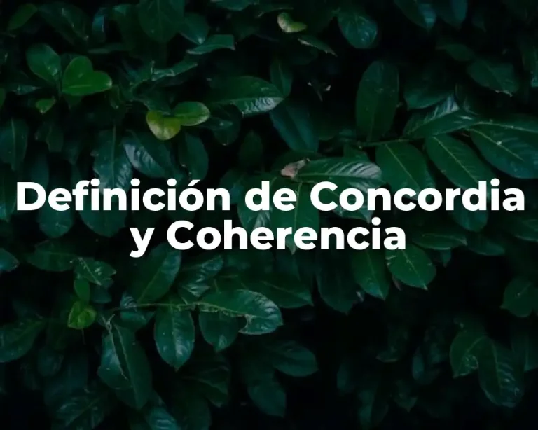 Definición de Concordia y Coherencia