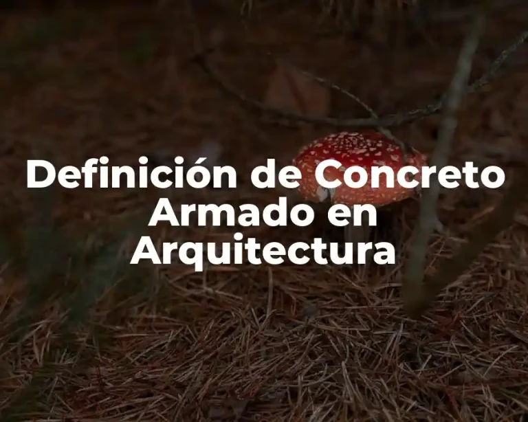 Definición de Concreto Armado en Arquitectura