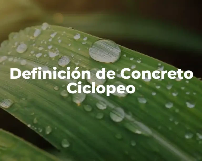Definición de Concreto Ciclopeo