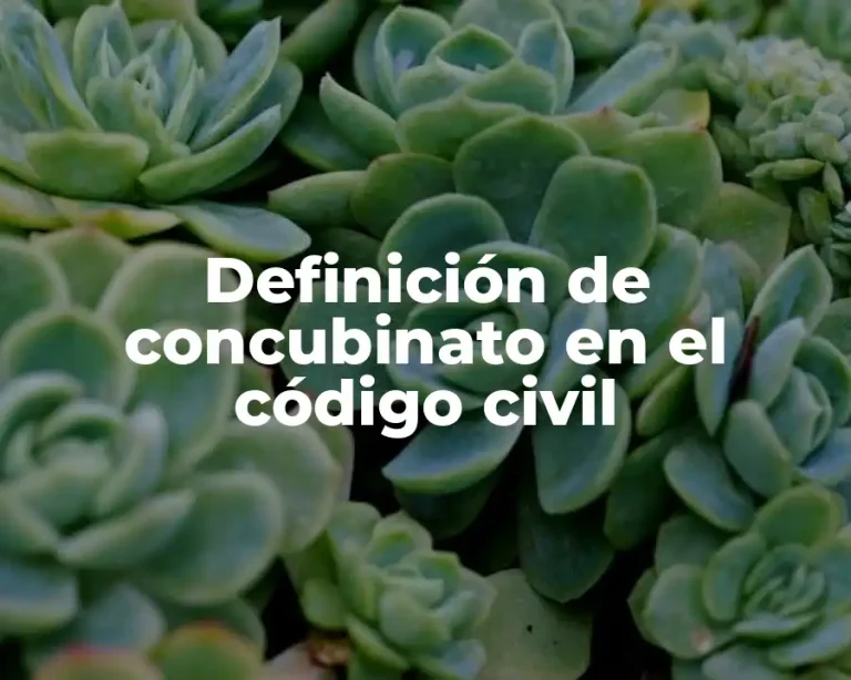 Definición de concubinato en el código civil
