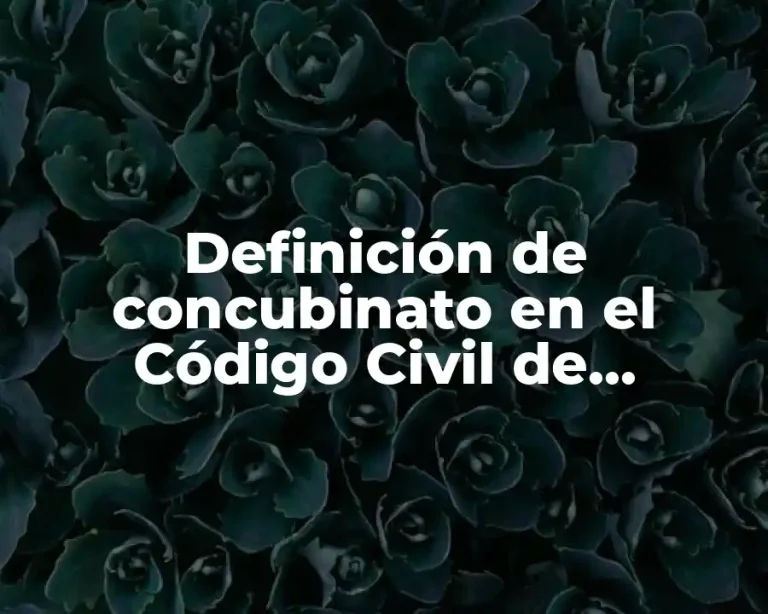 Definición de concubinato en el Código Civil de Veracruz