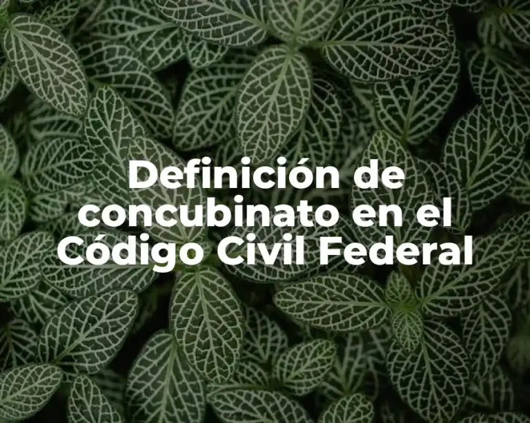 Definición de concubinato en el Código Civil Federal