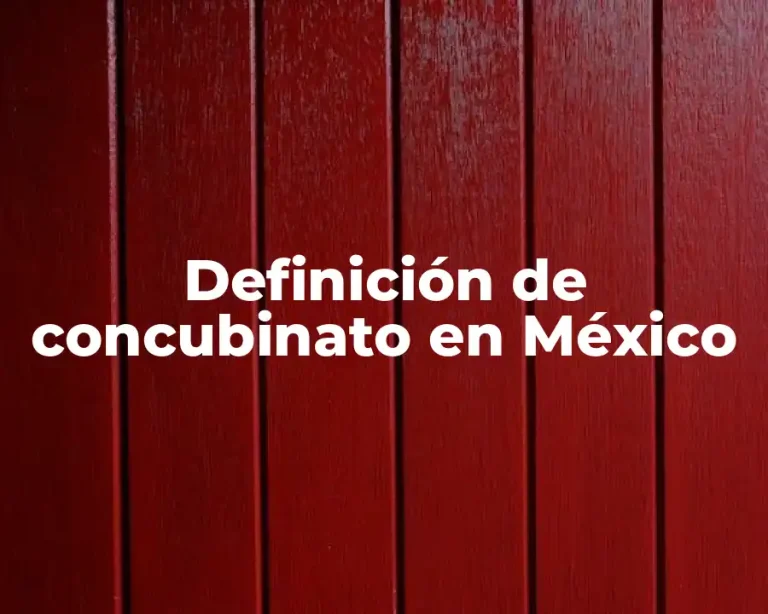 Definición de concubinato en México