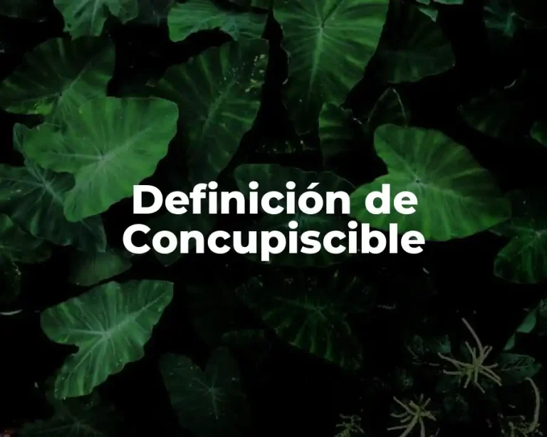 Definición de Concupiscible