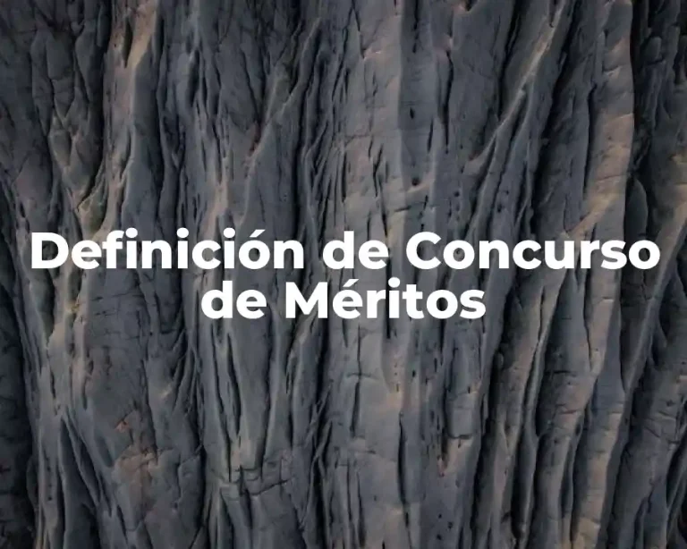 Definición de Concurso de Méritos