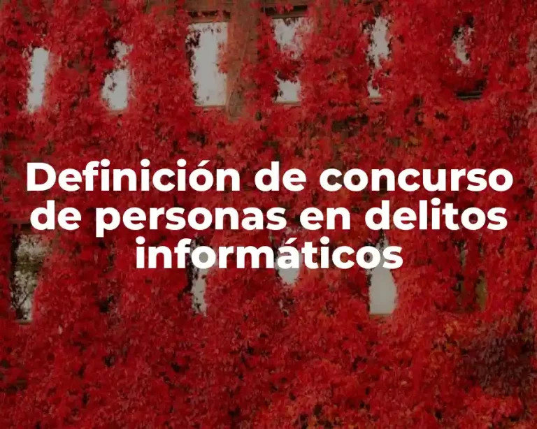 Definición de concurso de personas en delitos informáticos