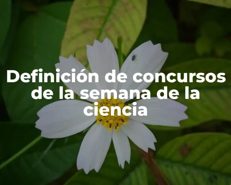 Definición de concursos de la semana de la ciencia