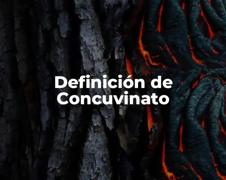 Definición de Concuvinato
