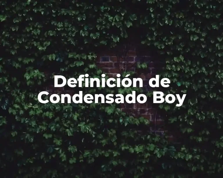 Definición de Condensado Boy