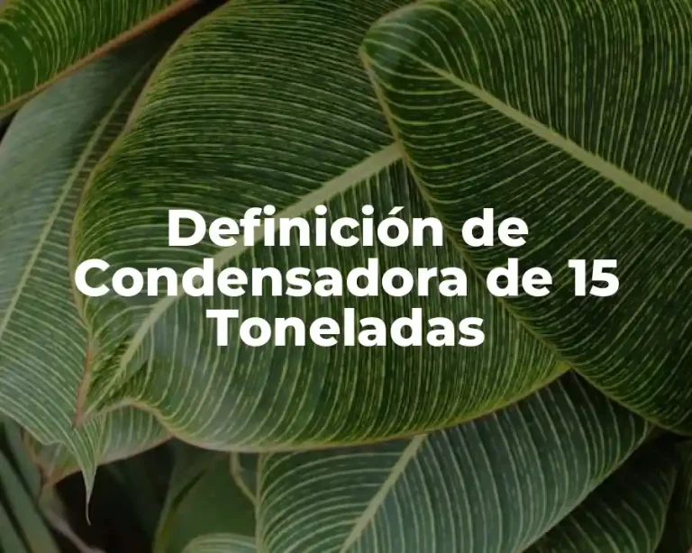 Definición de Condensadora de 15 Toneladas