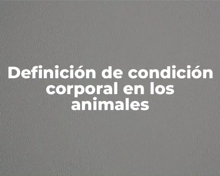 Definición de condición corporal en los animales