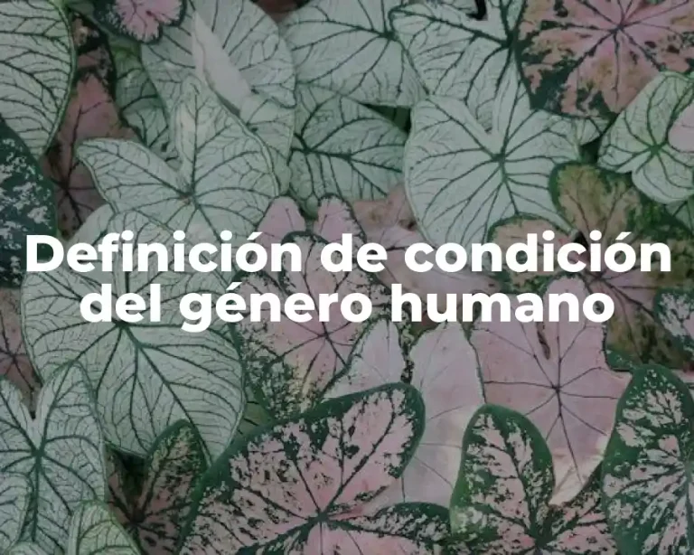 Definición de condición del género humano