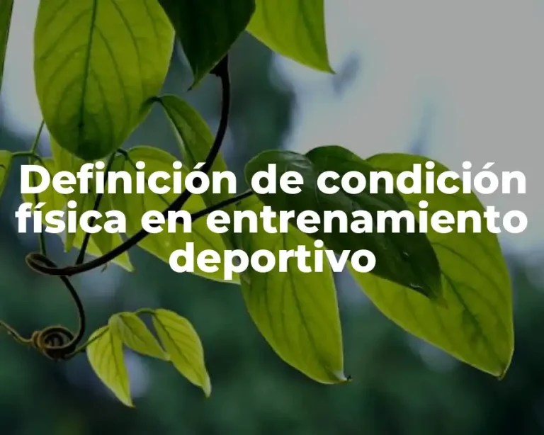 Definición de condición física en entrenamiento deportivo