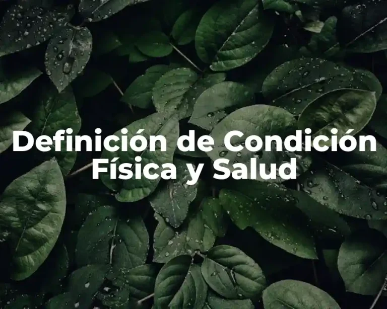 Definición de Condición Física y Salud