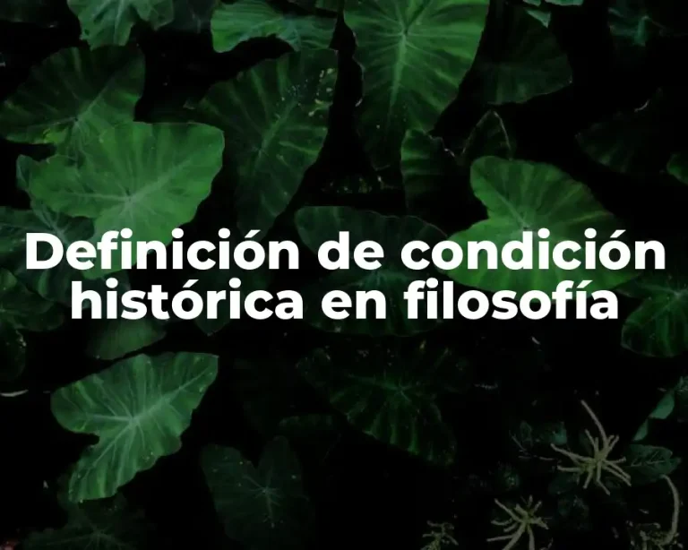Definición de condición histórica en filosofía