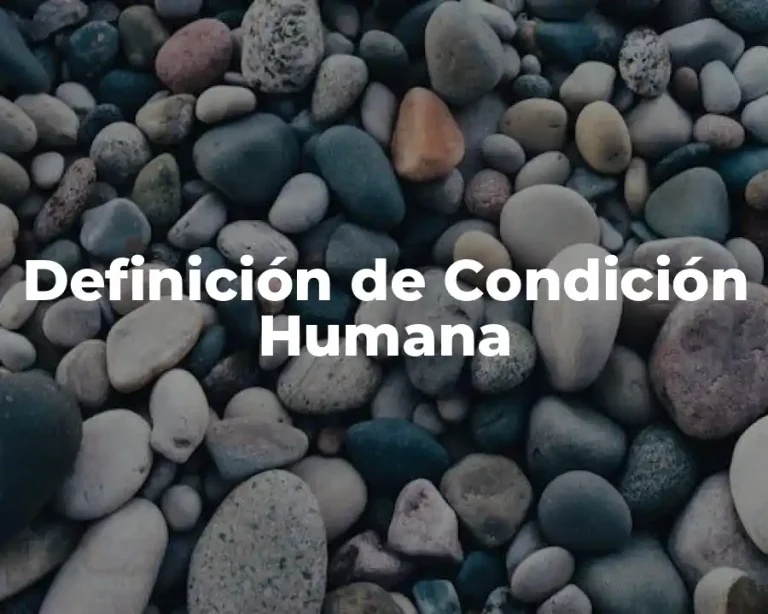 Definición de Condición Humana