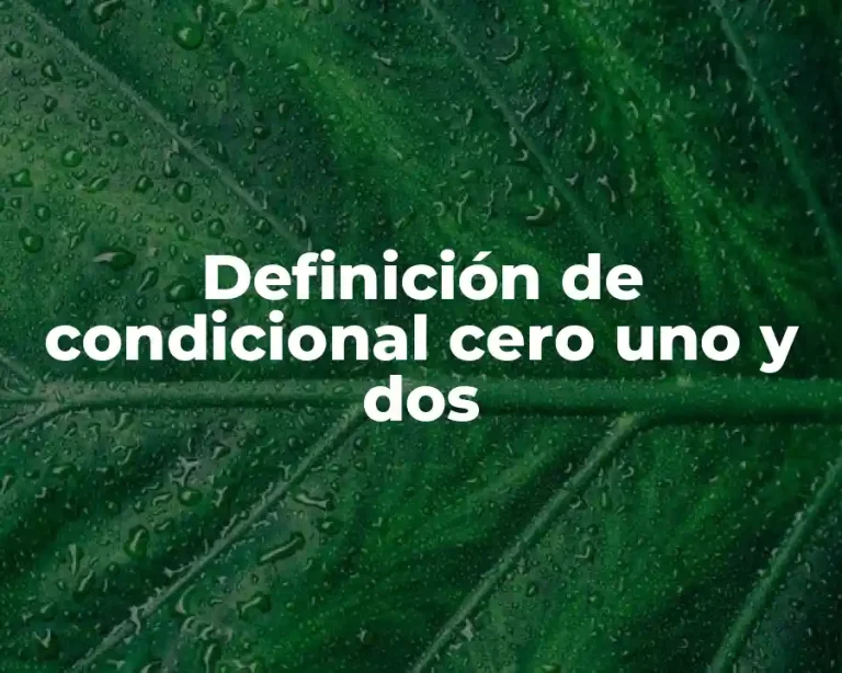 Definición de condicional cero uno y dos