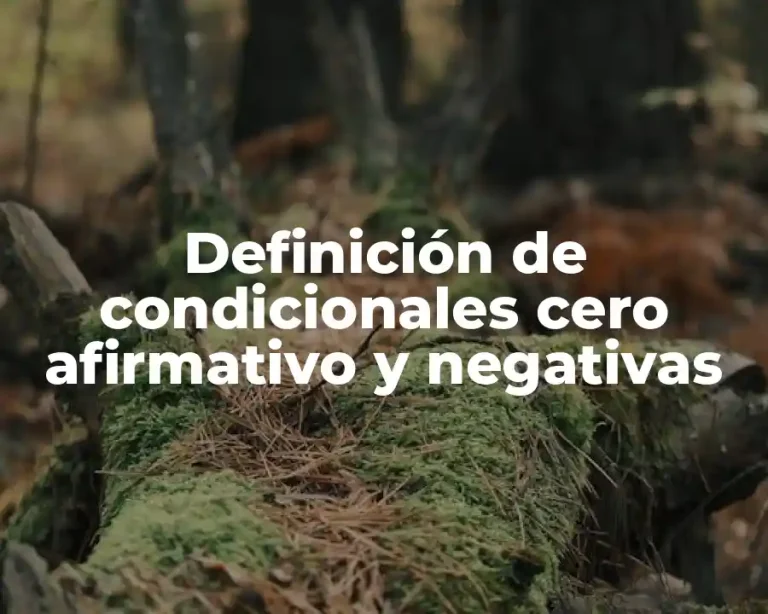 Definición de condicionales cero afirmativo y negativas