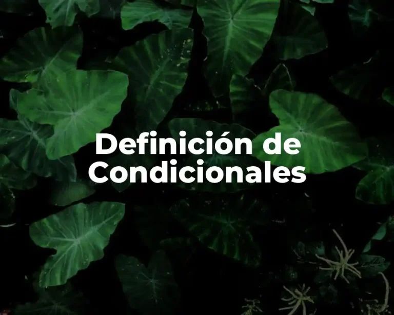 Definición de Condicionales