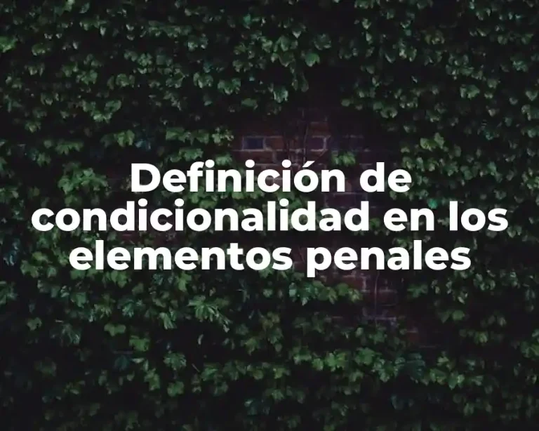 Definición de condicionalidad en los elementos penales