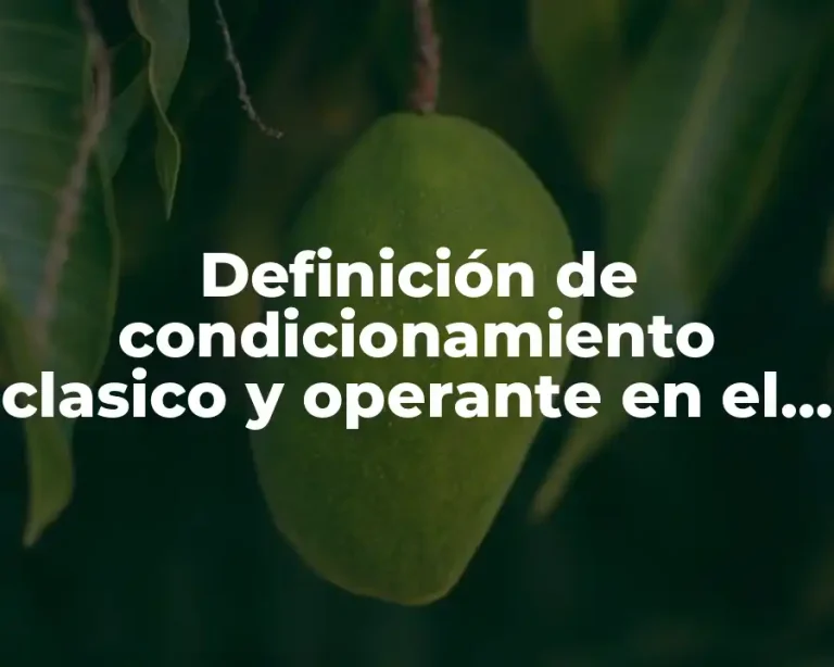 Definición de condicionamiento clasico y operante en el aula