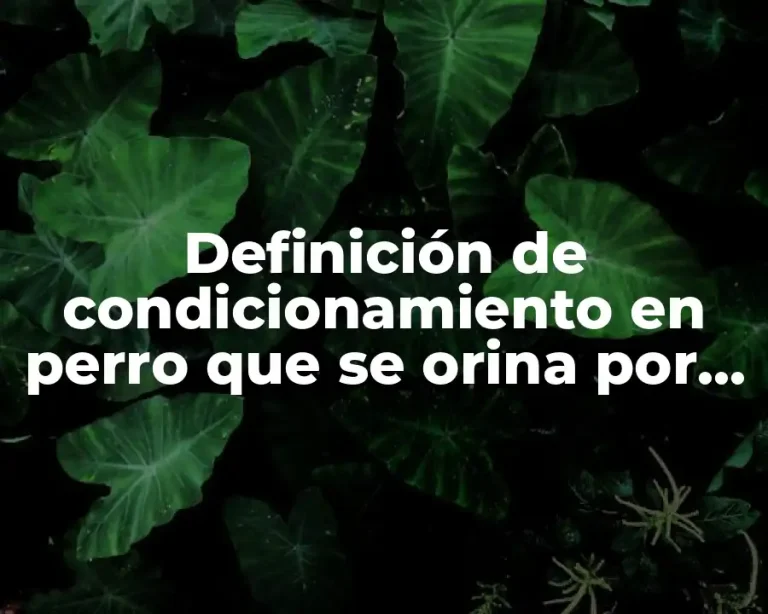 Definición de condicionamiento en perro que se orina por miedo