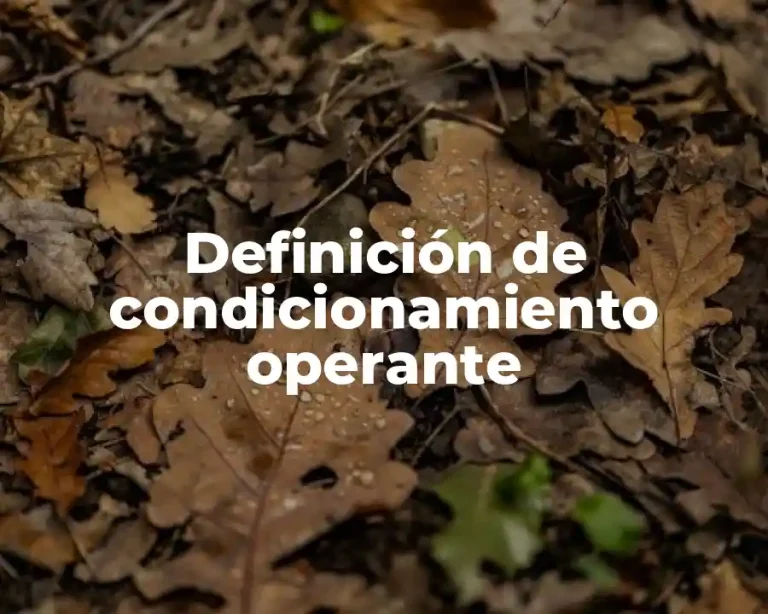 Definición de condicionamiento operante