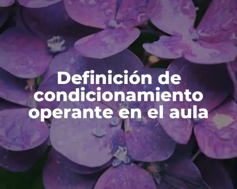 Definición de condicionamiento operante en el aula