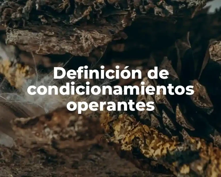 Definición de condicionamientos operantes