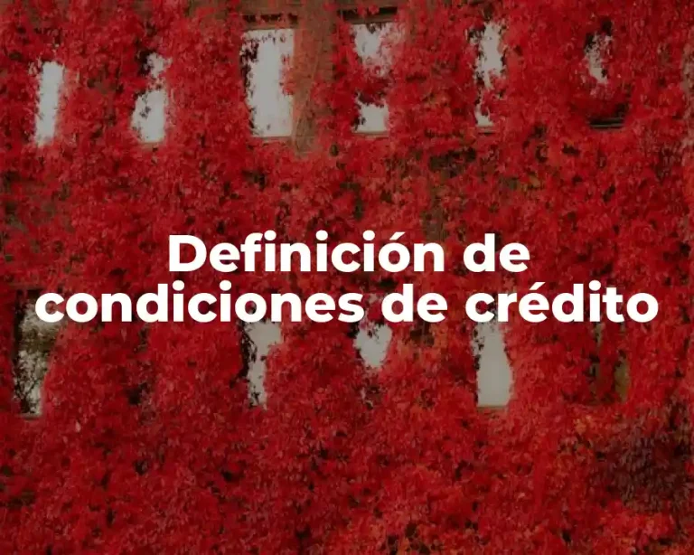 Definición de condiciones de crédito