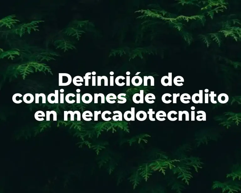 Definición de condiciones de credito en mercadotecnia