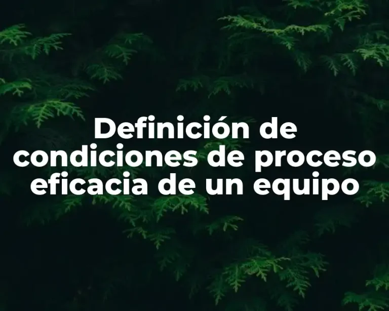 Definición de condiciones de proceso eficacia de un equipo