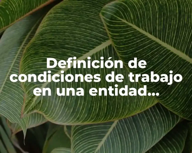 Definición de condiciones de trabajo en una entidad financiera