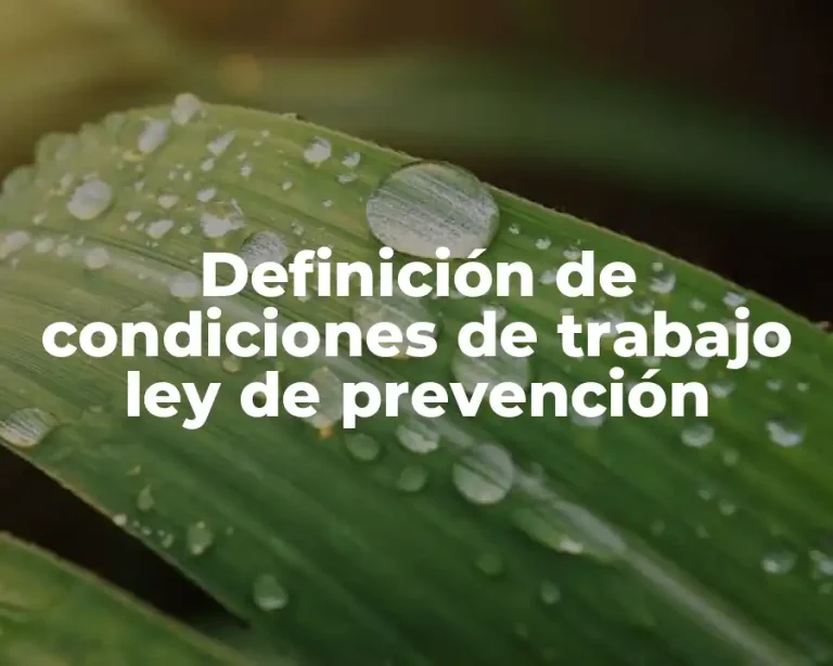 Definición de condiciones de trabajo ley de prevención