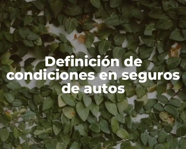 Definición de condiciones en seguros de autos