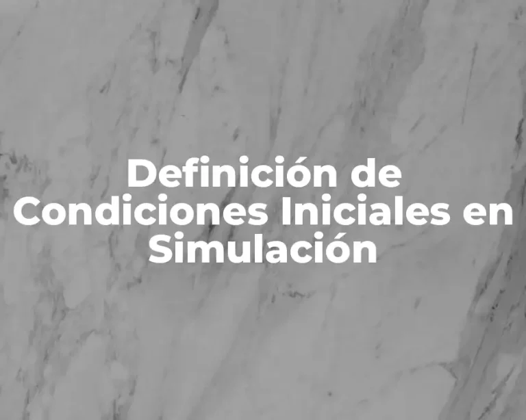 Definición de Condiciones Iniciales en Simulación