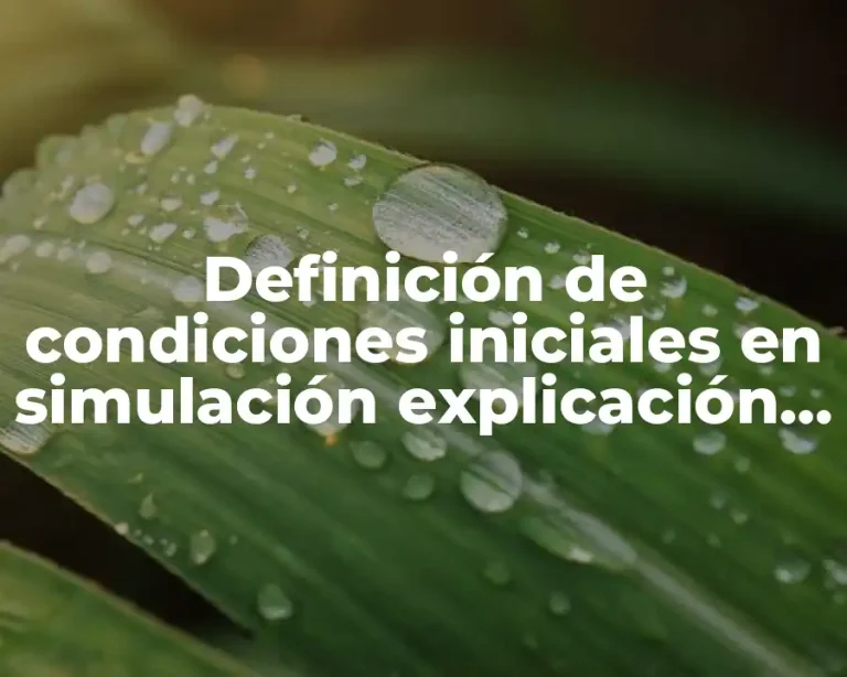Definición de condiciones iniciales en simulación explicación de uso
