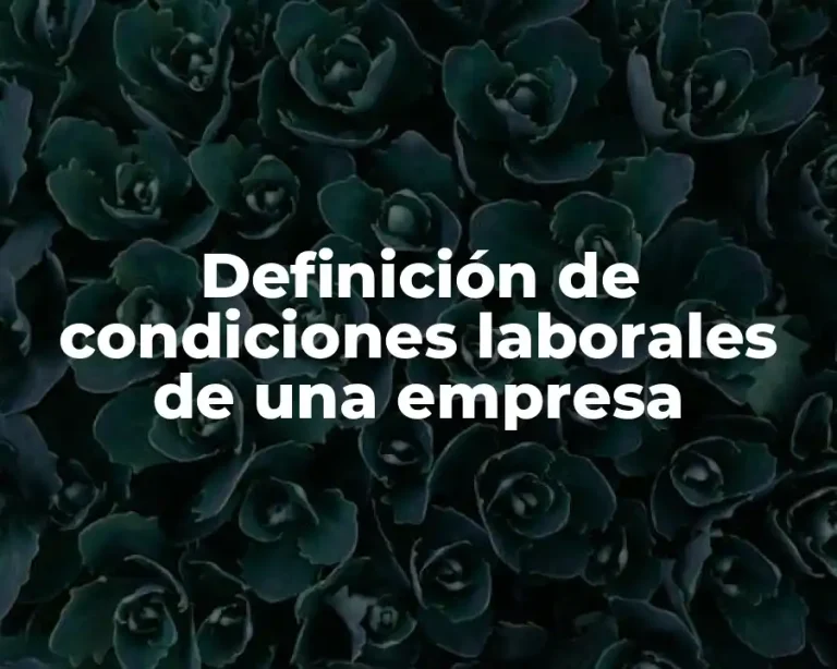 Definición de condiciones laborales de una empresa