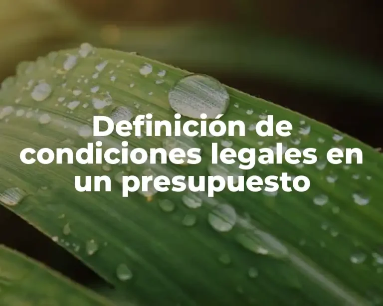 Definición de condiciones legales en un presupuesto
