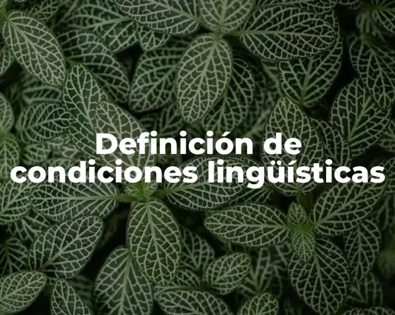 Definición de condiciones lingüísticas