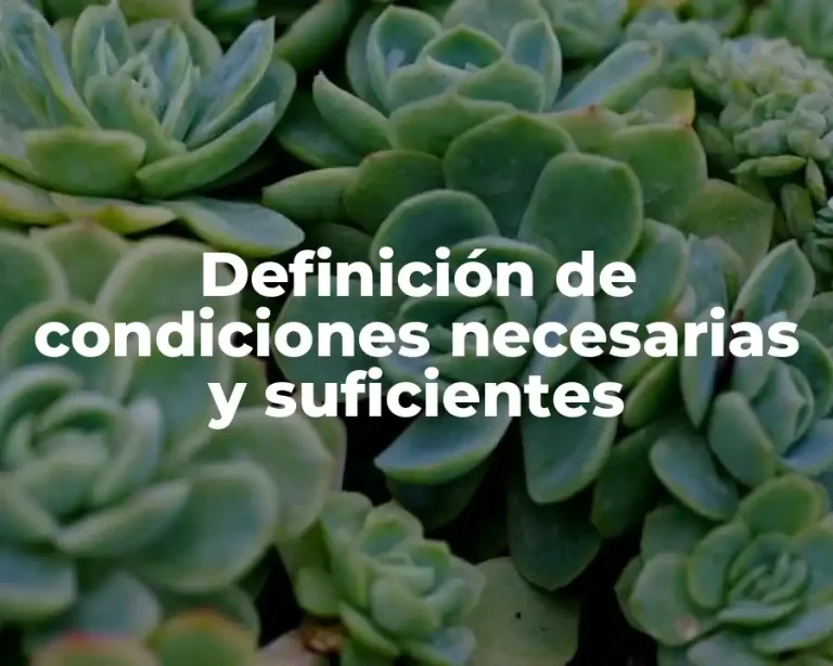 Definición de condiciones necesarias y suficientes