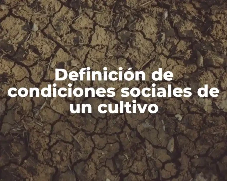 Definición de condiciones sociales de un cultivo