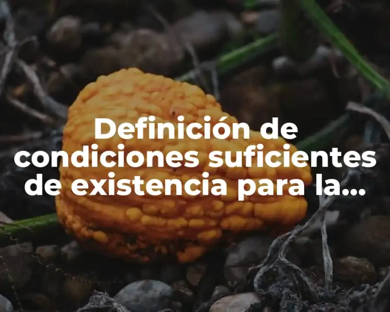 Definición de condiciones suficientes de existencia para la transformada