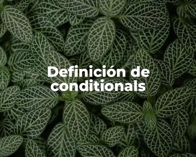 Definición de conditionals