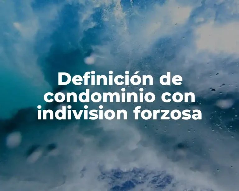 Definición de condominio con indivision forzosa