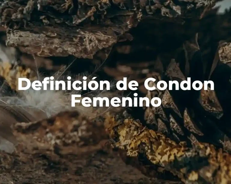 Definición de Condon Femenino