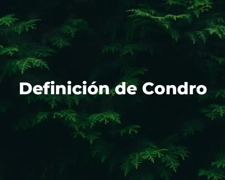 Definición de Condro