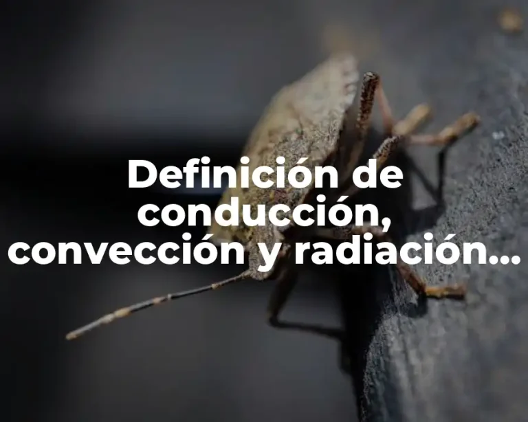 Definición de conducción, convección y radiación en la industria