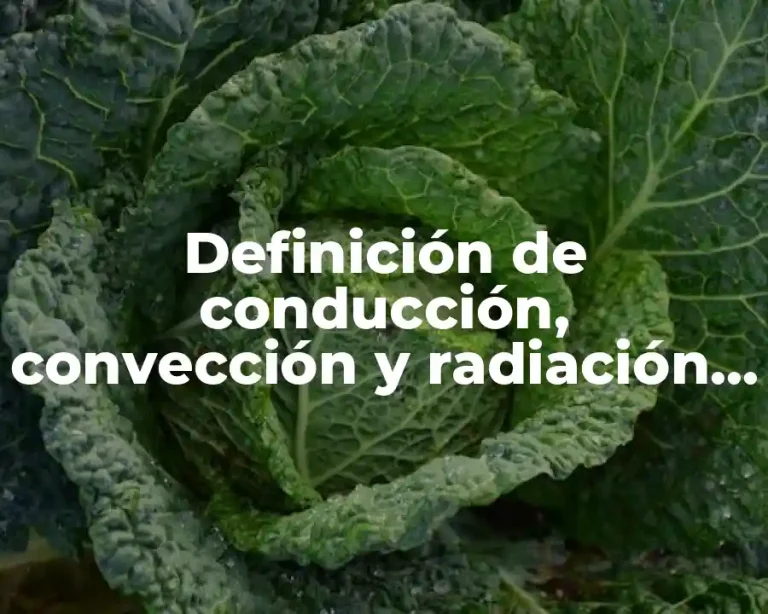 Definición de conducción, convección y radiación térmica